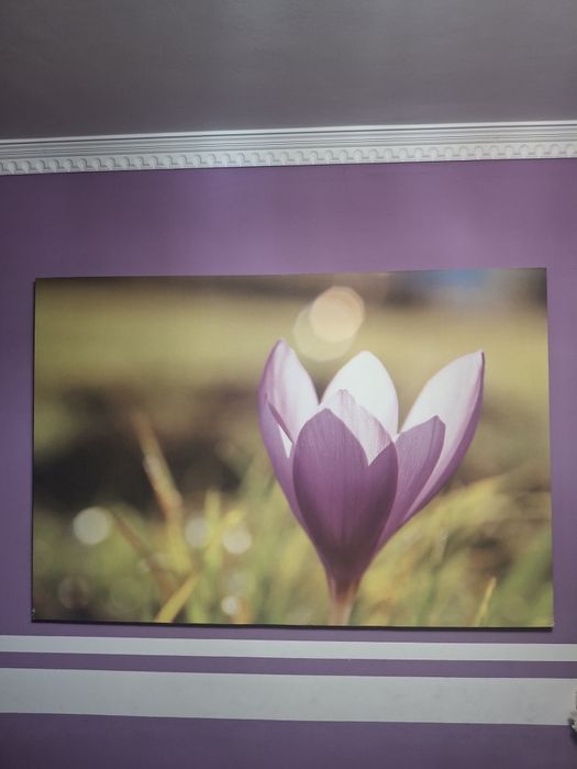 Продам красочную интерьерную картину