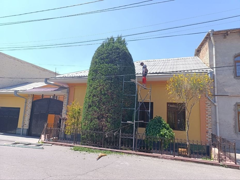 Archa kesish dorilash va gazon ikish