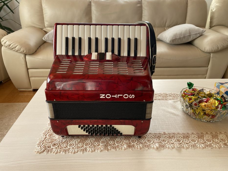 Acordeon Solton copii sau adulti