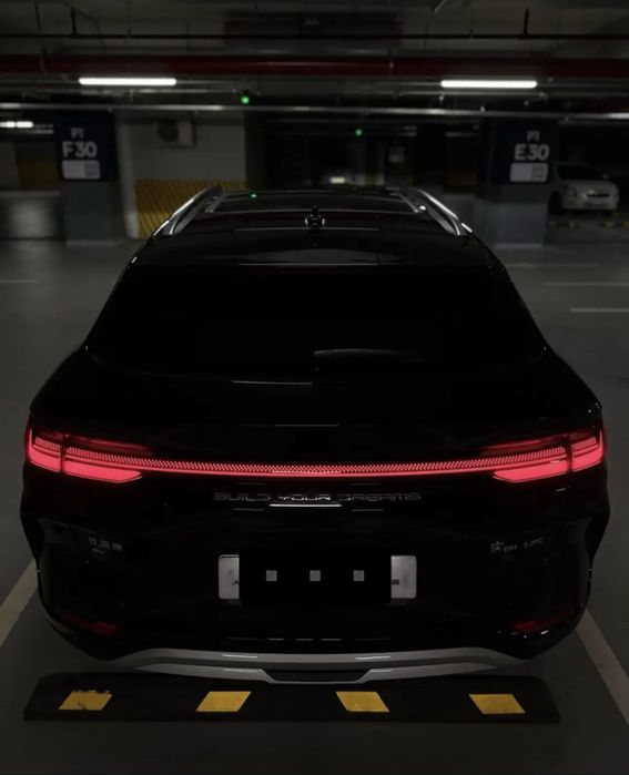 BYD Чемпион 605 HONOR 23/24