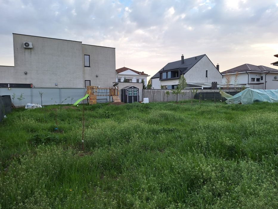 Vând teren voluntari Matei millo