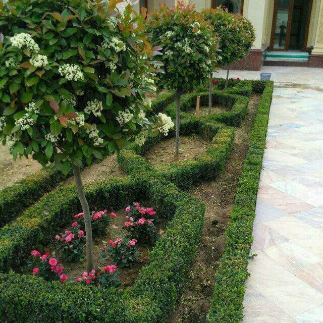 Услуги сантехника и ландшафт газона