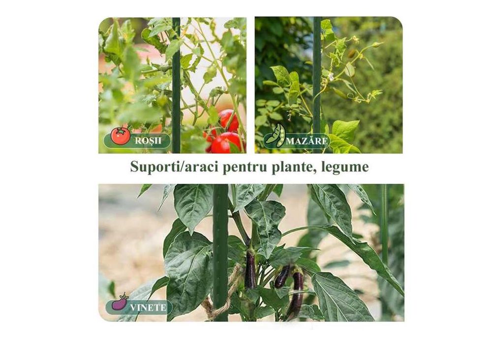 Set 20 de araci gradina pentru plante, metal cu PVC verde