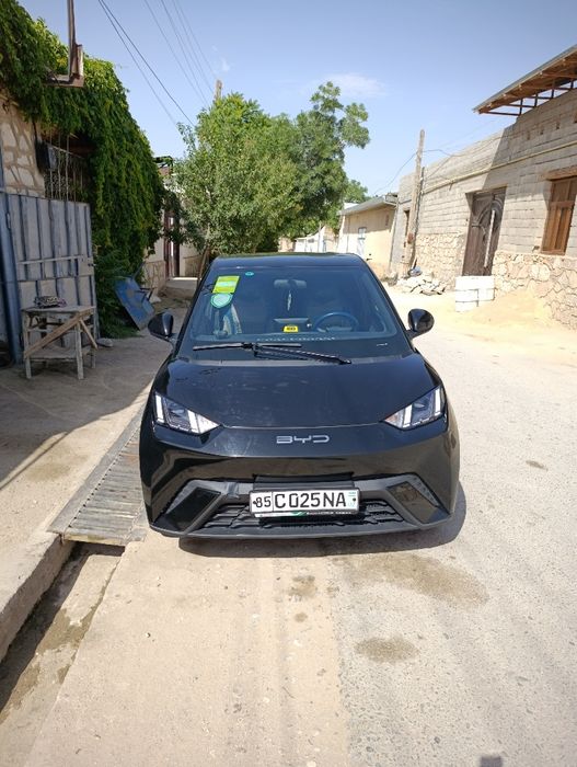 BYD  105 :000:000 Million berib krditni davom ettirasis