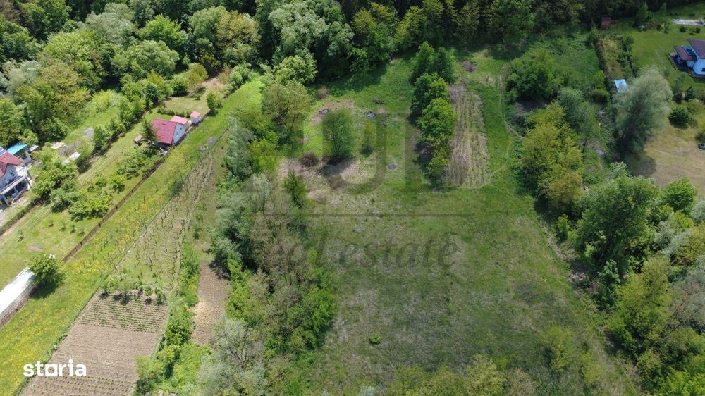Teren intravilan | langa padure si parau | Luncani/Bacau