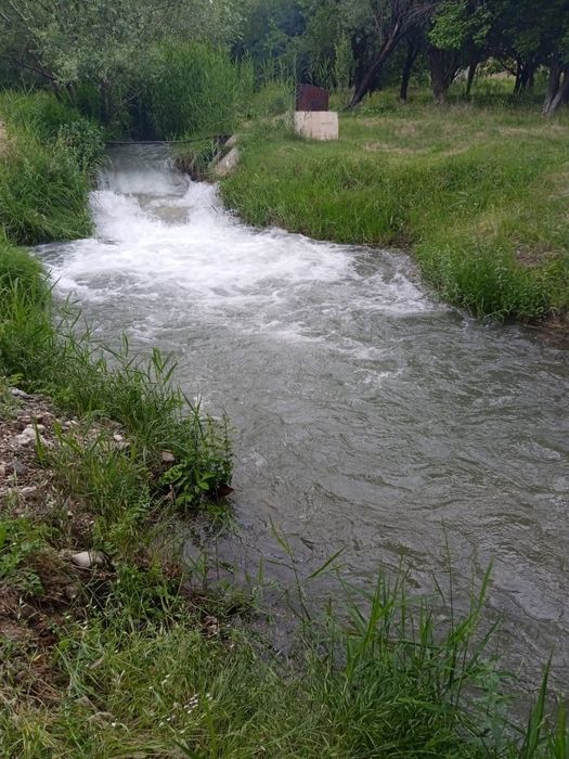 Койлек Турция размер 42