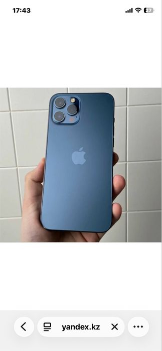 Apple 12 pro max