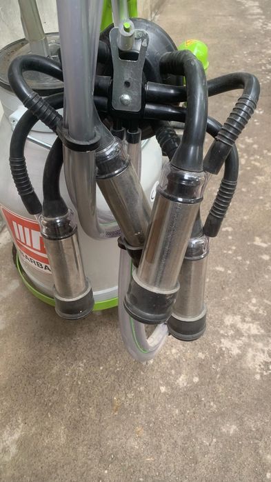 Samsung S GT S5250 uchun porno videolar