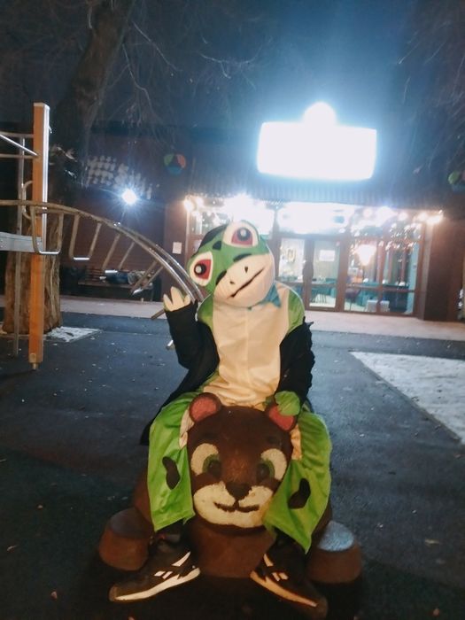 Продам  аниматорские костюмы