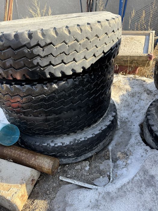 Резина на шахман хова