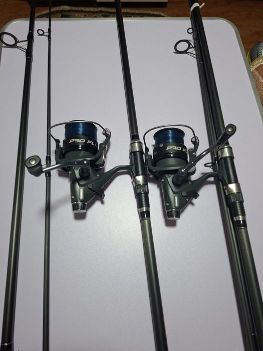 Lansete pescuit crap.