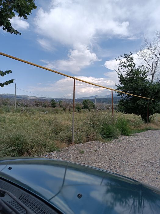 Участок на инкубаторе