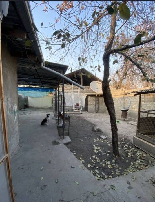 4.5 сотки ( владелец не риэлтор ) сергили