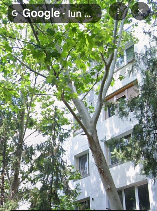 Apartament 3 camere, sector 4, Izvorul Crisului