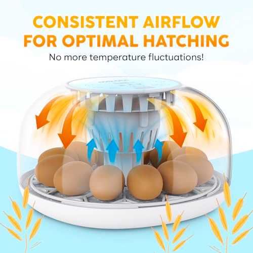 Okkobi M12 автоматичен инкубатор за 12–24 яйца с 360° изглед