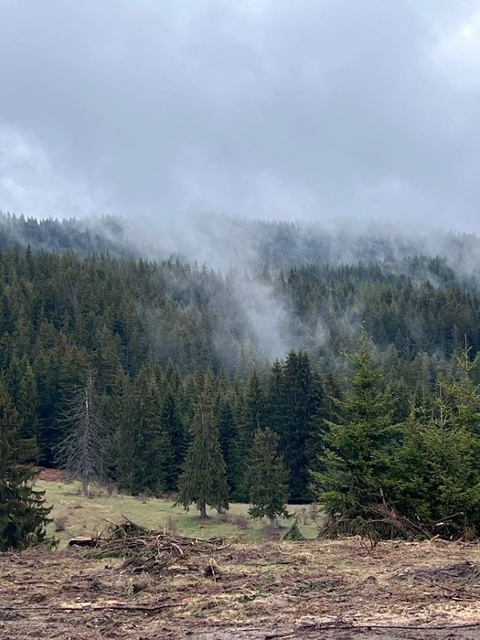 Продава се Двустаен апартамент в к.к. Пампорово - 85 кв.м за 573 €/кв.м - Снимка #4