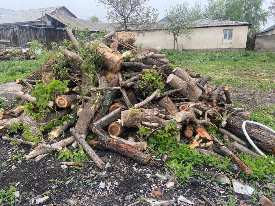 Драва ағаш  срочна сатылады
