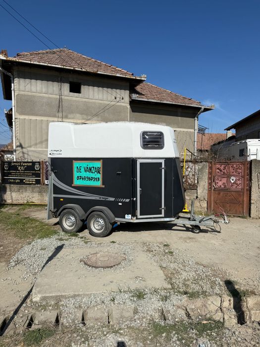 Vand un armasar pinto, o iapa kwpn, ambii metis de frizian, o trasura, o pereche de hamuri complete maro si o remorca de cai