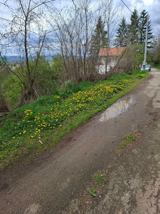 Продава се Парцел в Радомир - 1438 кв.м за 14 €/кв.м - Снимка #3