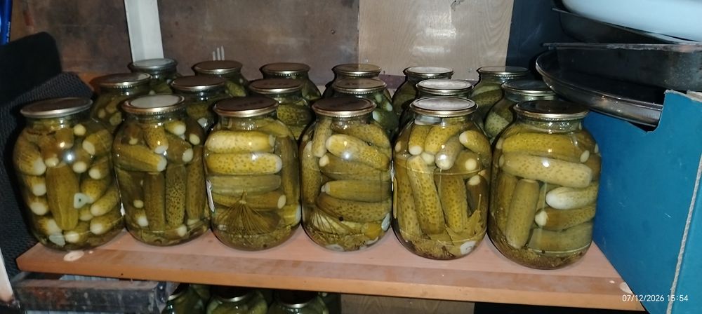 продаются огурцы в банке.