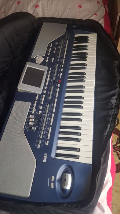 Korg pa800 идиял состояния