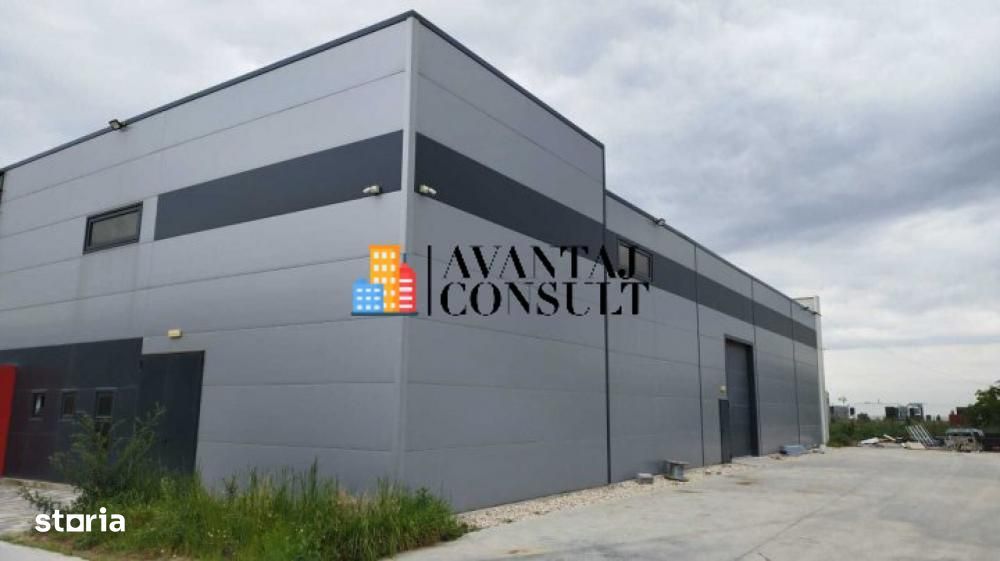 Mogosoaia centura hala cu rafturi si temperatura controlata 600 mp