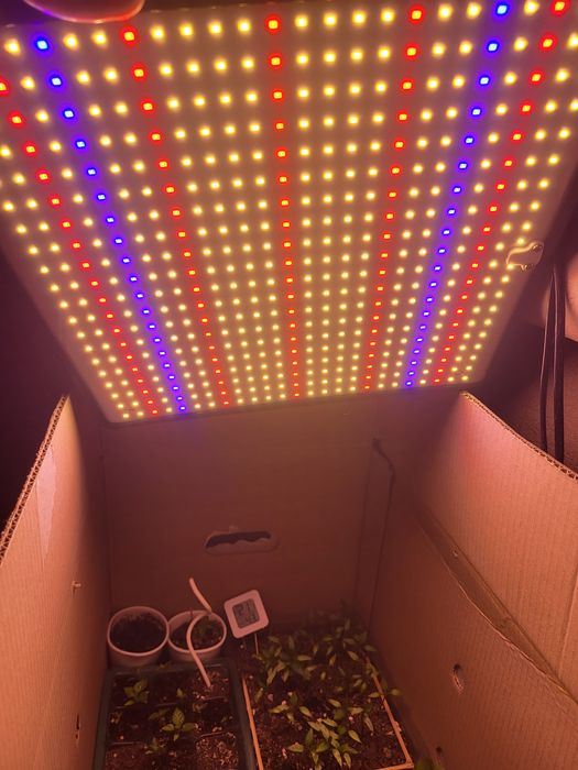 Гроу лед лампа за растения