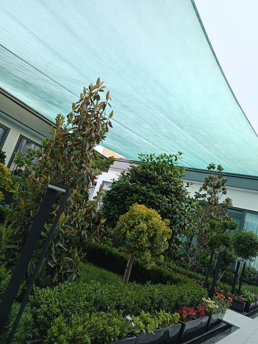 Mikrakilimat va quyoshga qarshi setka