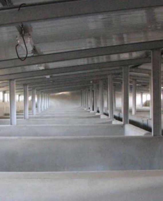 Продава се Промишлена сграда в с. Паскалево, Област Добрич - 3060 кв.м за 50 €/кв.м - Снимка #5