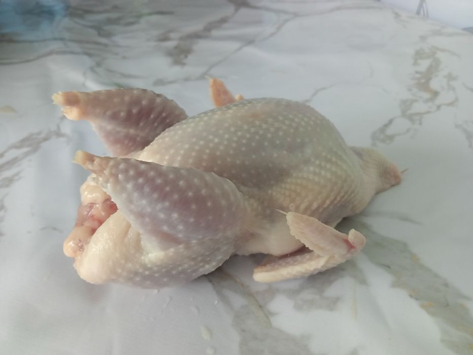 Продам свежее перепелиное  мясо