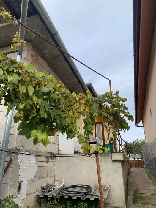 Casă de vânzare - BLAJ