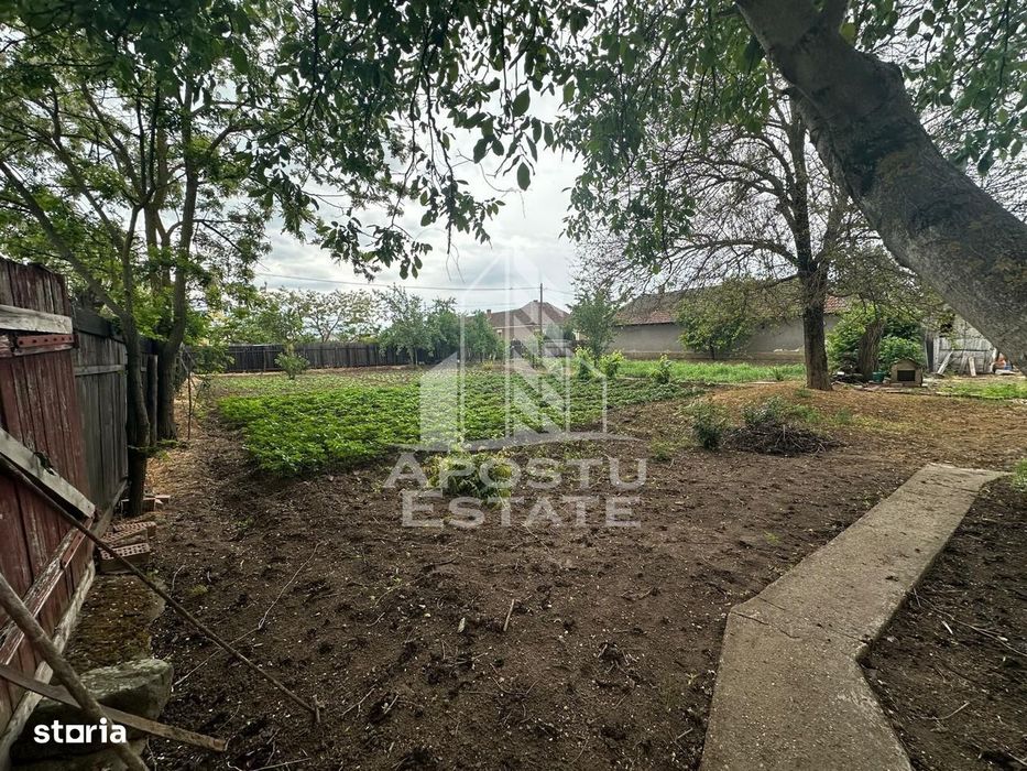 Casa cu teren de vanzare in Zimandu Nou