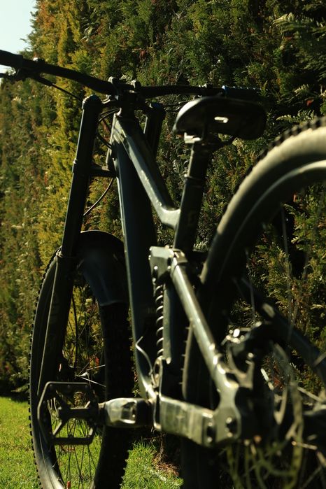 Scott Gambler 910 2023