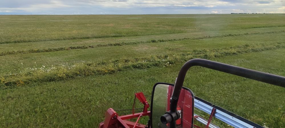 Сено разнотравие, суданка, донник