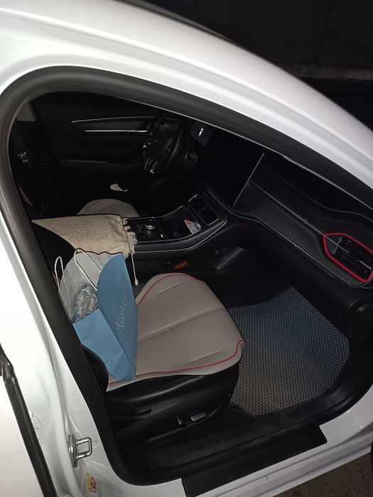 byd chazor GIBRID