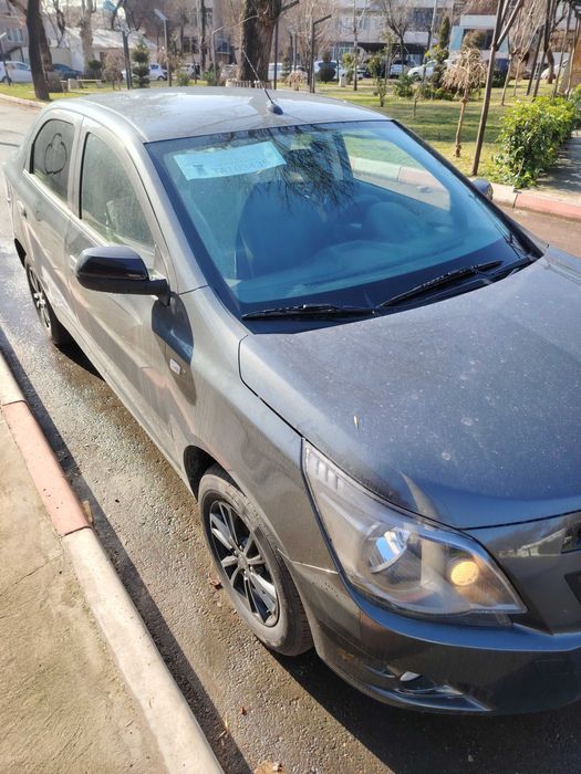 Cobalt Midnight MCM 2026