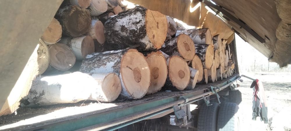 Продам дрова чуркованные