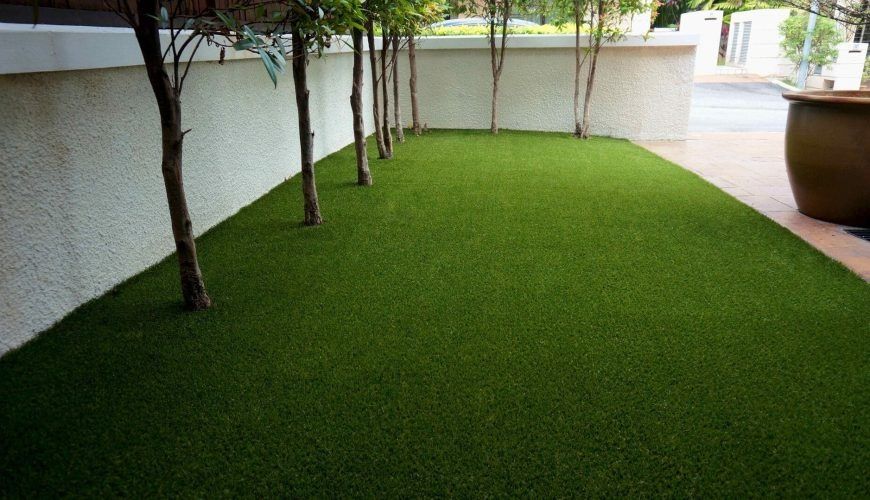 Живой газон рулонный и мямяной