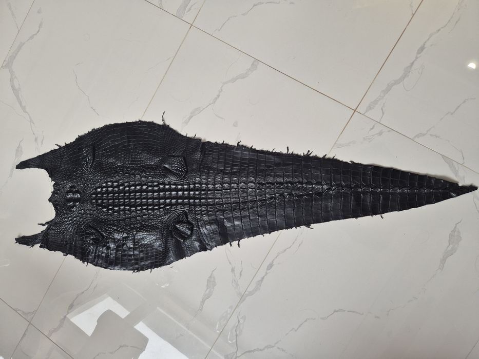 Продам кожу крокодила