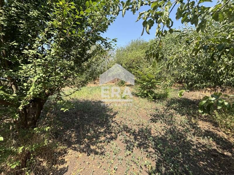 Ексклузивно!  Парцел  за продажба с партида за ток в село Момчилово, о