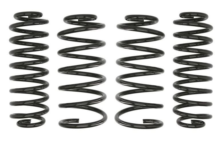 Set Arcuri Sport Eibach Skoda Octavia I