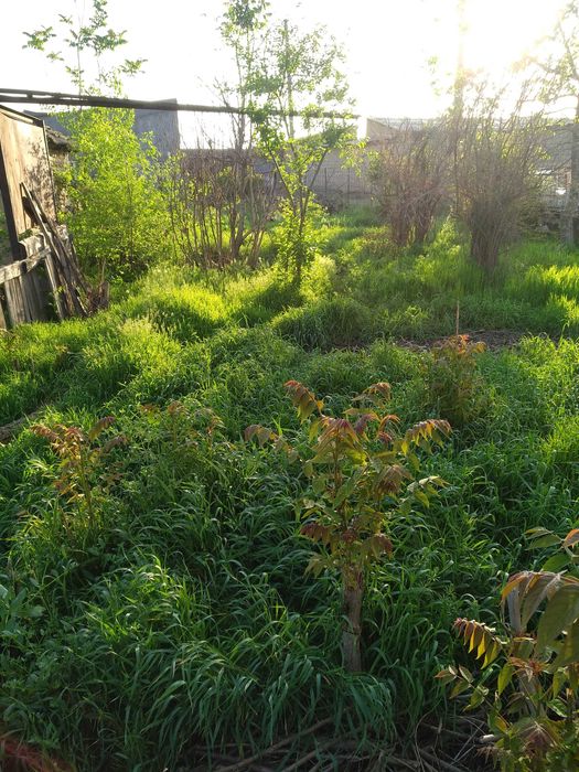 Продажа участка дома