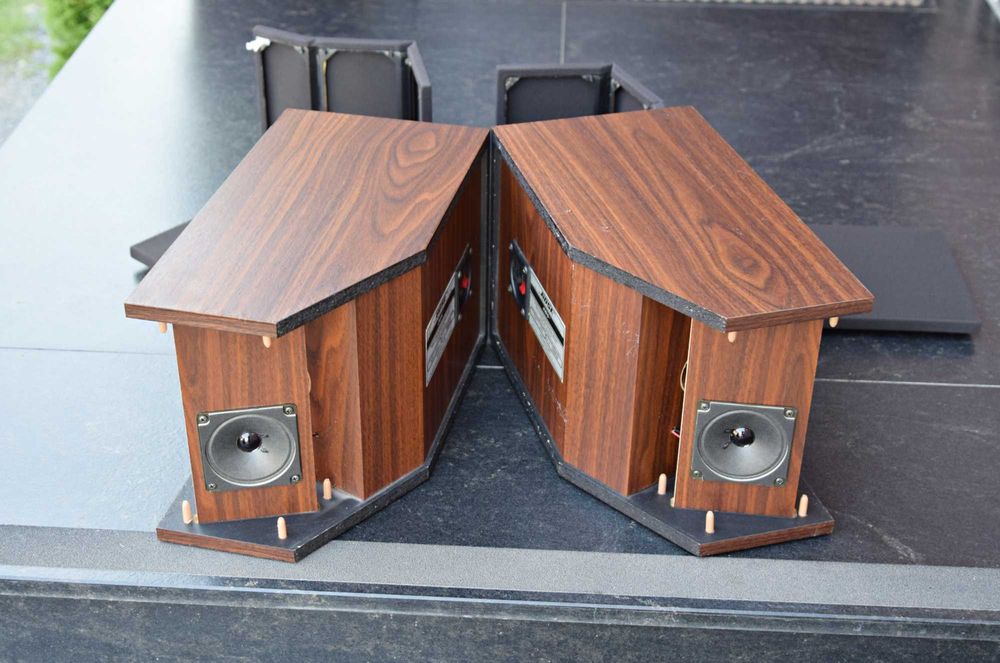 Boxe Bose 205, boxe de raft