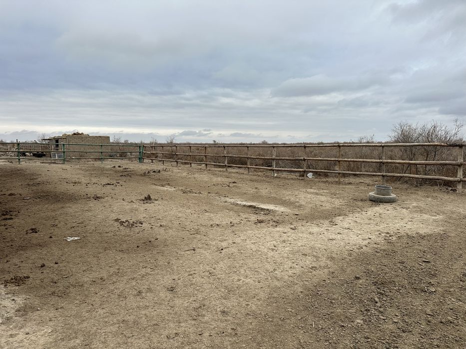 Фазенда сатылады Талсуатта