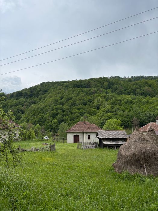 Vând casă și teren în Munteni, comuna Bulz ( Bihor) cu ieșire la DJ
