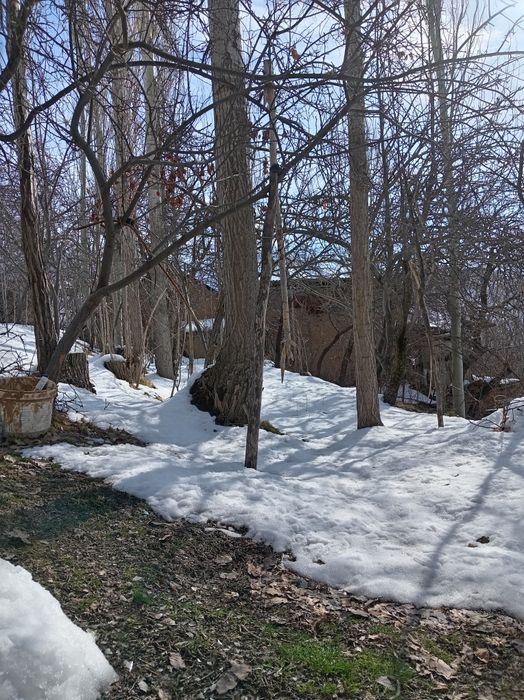 Bustonliq tumani sijjak qishlog'i yer sotiladi