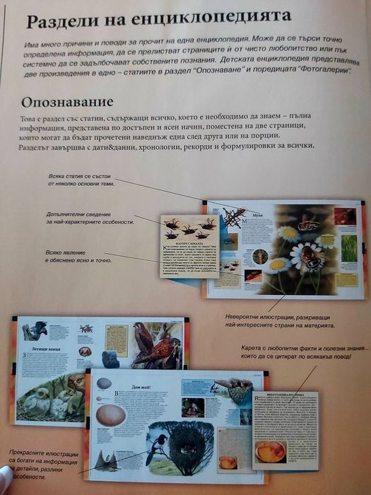 Голяма детска енциклопедия -Животни