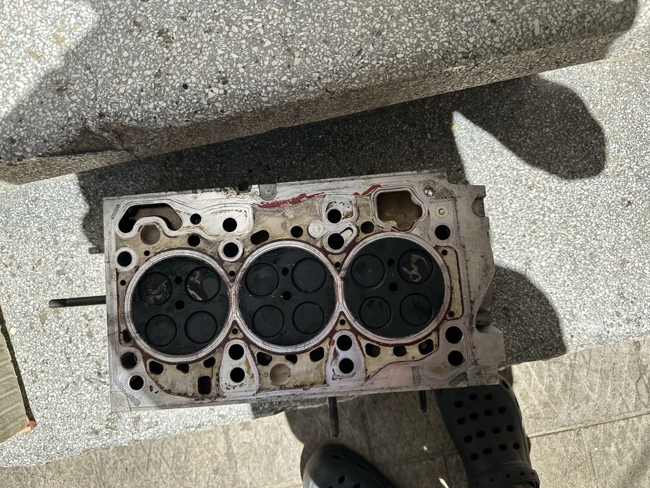 Chiuloasa grup vag CUSB