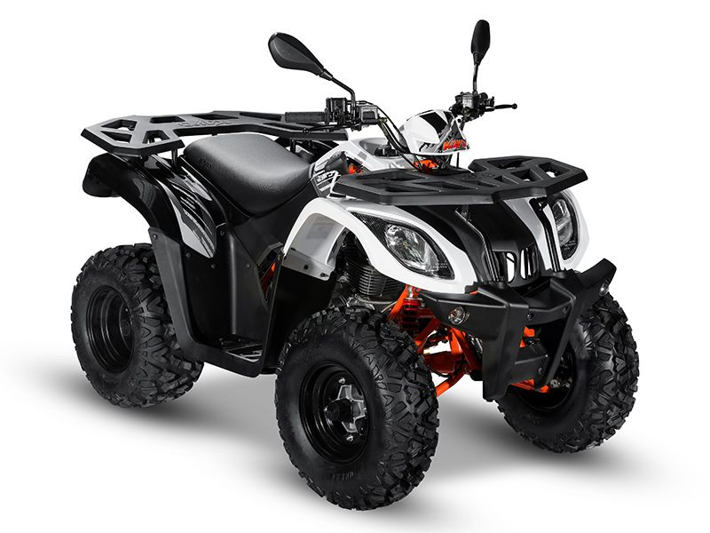 KAYO - ATV AU200 inmatriculabil T3b atv