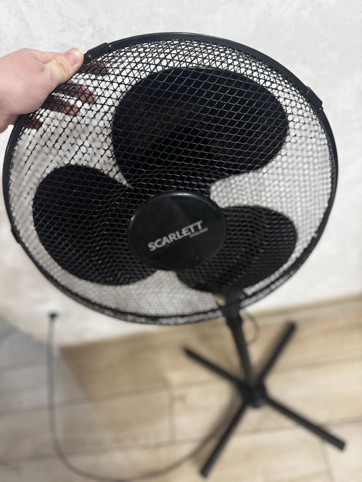 Вентилятор черный скарлет